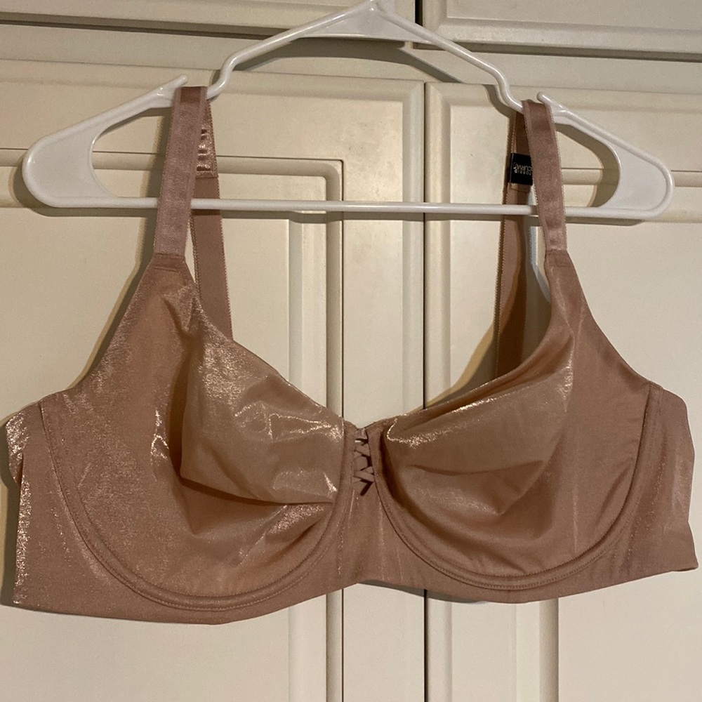 Sheer pink bra